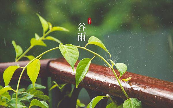 谷雨养生 美味食谱推荐